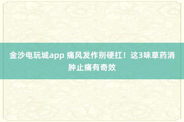 金沙電玩城app 痛風(fēng)發(fā)作別硬扛！這3味草藥消腫止痛有奇效