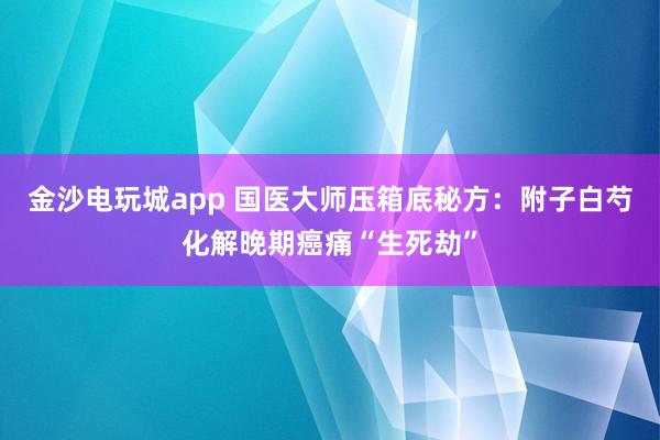 金沙電玩城app 國(guó)醫(yī)大師壓箱底秘方:附子白芍化解晚期癌痛“生死劫”
