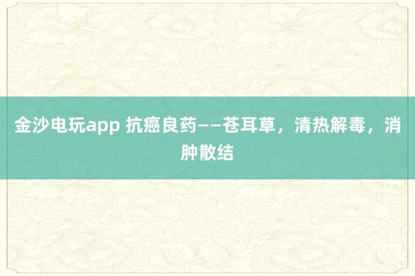 金沙電玩app 抗癌良藥——蒼耳草，清熱解毒，消腫散結