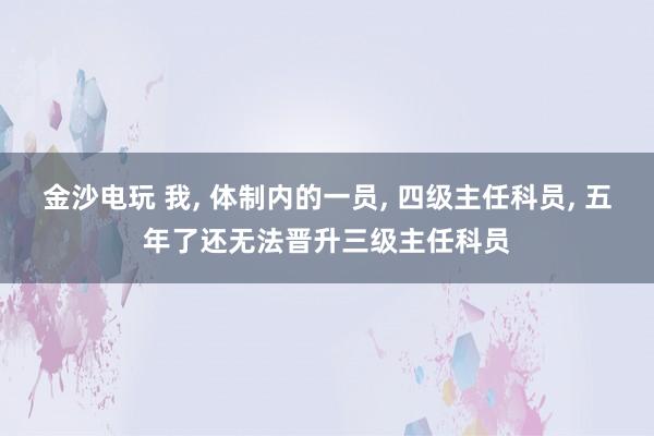 金沙電玩 我, 體制內的一員, 四級主任科員, 五年了還無法晉升三級主任科員