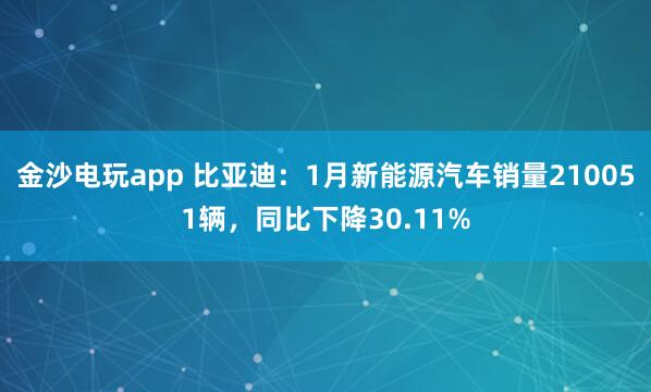 金沙電玩app 比亞迪:1月新能源汽車銷量210051輛,同比下降30.11%