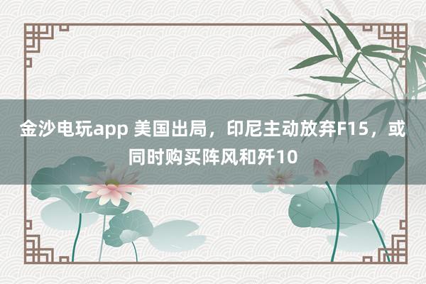 金沙電玩app 美國出局，印尼主動放棄F15，或同時購買陣風和殲10