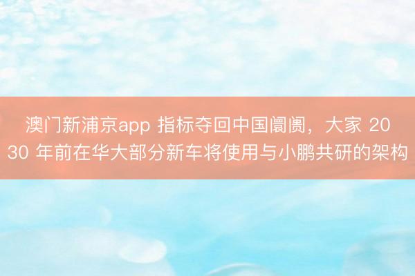 澳門新浦京app 指標(biāo)奪回中國阛阓，大家 2030 年前在華大部分新車將使用與小鵬共研的架構(gòu)