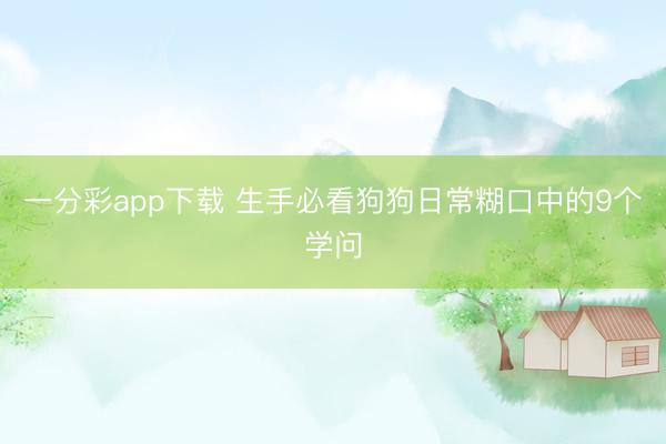 一分彩app下載 生手必看狗狗日常糊口中的9個(gè)學(xué)問