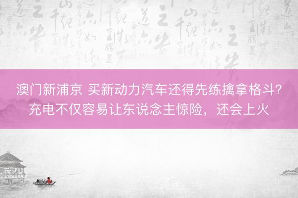 澳門新浦京 買新動力汽車還得先練擒拿格斗？充電不僅容易讓東說念主驚險，還會上火