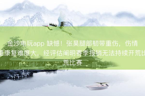 金沙電玩app 缺憾!張昊腿部韌帶重傷,傷情嚴重康復難度大,經評估闡明賽季報銷無法持續開荒比賽