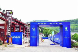 走，采茶去！第五屆“巴中云頂”茶文化旅游節明日盛大啟幕